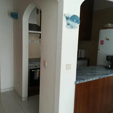Appartement - Elimar 1 T1